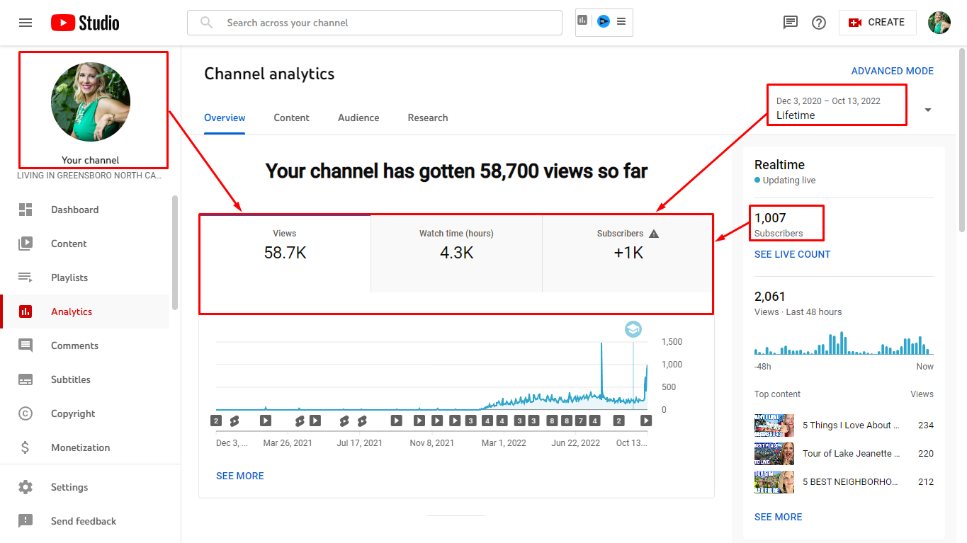 Organic Youtube Promotion